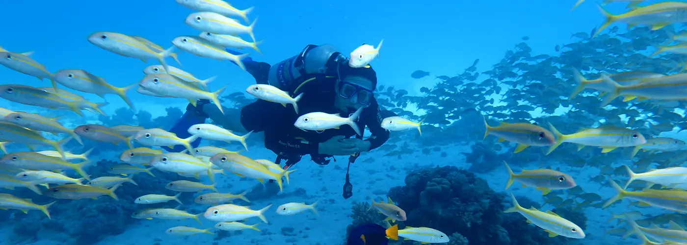 Egypt International Diving